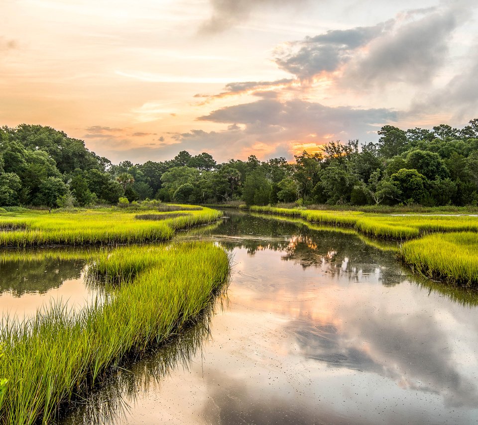 Обои сша, южная каролина, seabrook island, usa, south carolina разрешение 3300x2000 Загрузить