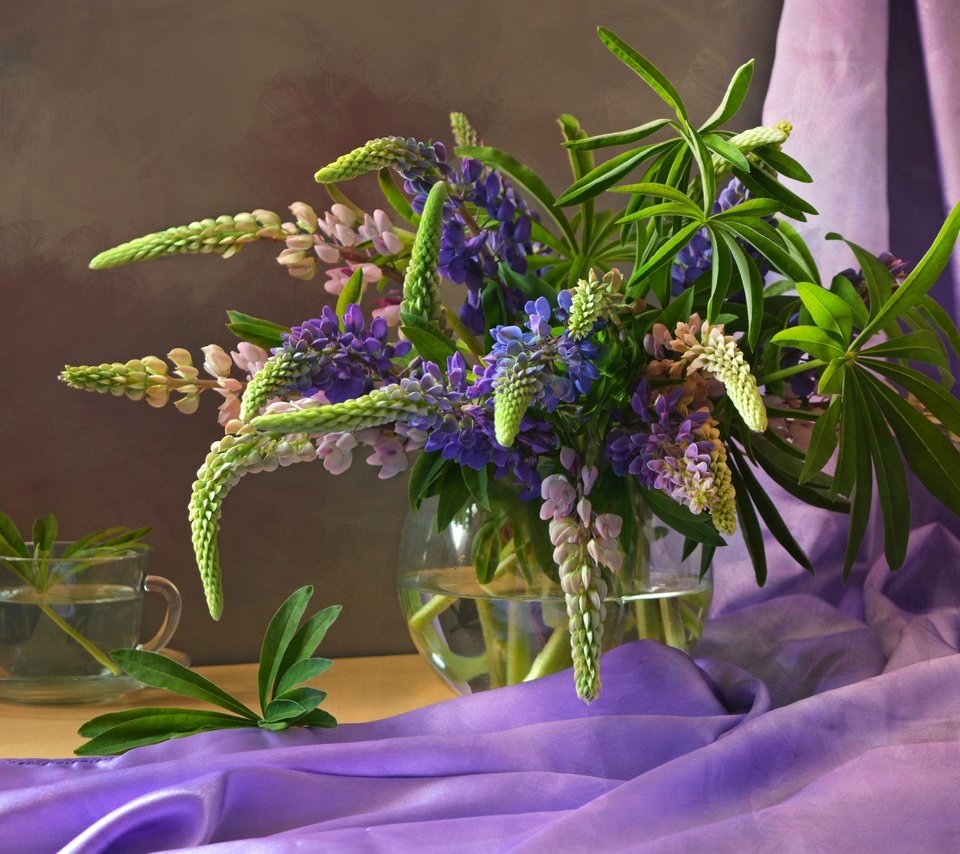 Обои цветы, ткань, букет, фиолетовые, люпин, flowers, fabric, bouquet, purple, lupin разрешение 2400x1601 Загрузить