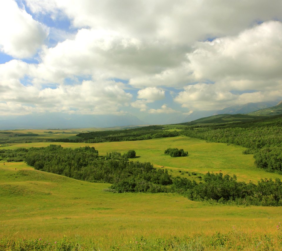 Обои облака, горы, лес, поля, канада, луга, провинция альберта, clouds, mountains, forest, field, canada, meadows, alberta разрешение 3200x1900 Загрузить