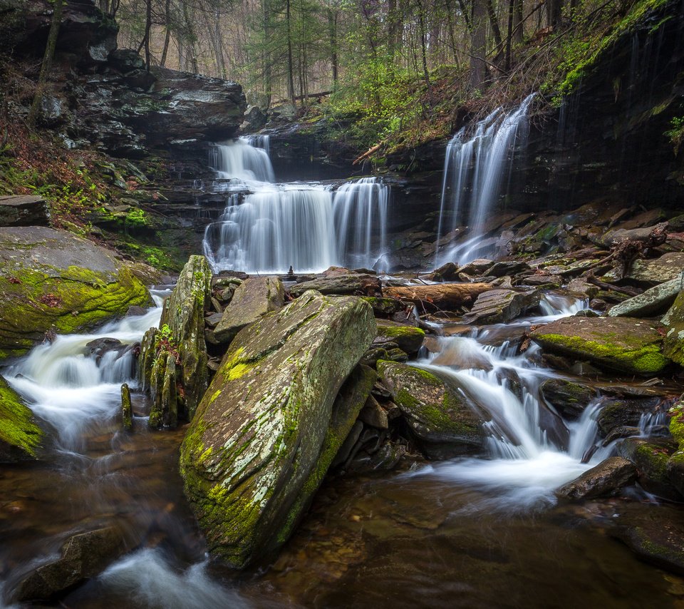 Обои деревья, камни, лес, ручей, водопад, сша, мох, ricketts glen state park, trees, stones, forest, stream, waterfall, usa, moss разрешение 3209x2000 Загрузить