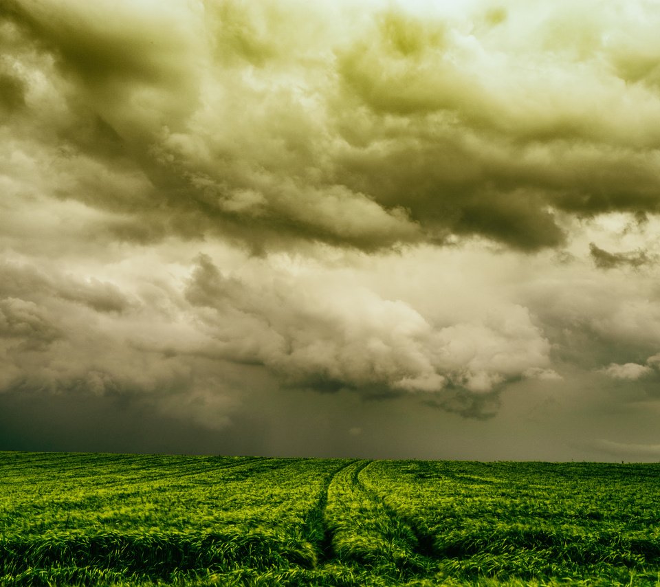 Обои небо, природа, поле, the sky, nature, field разрешение 2048x1365 Загрузить