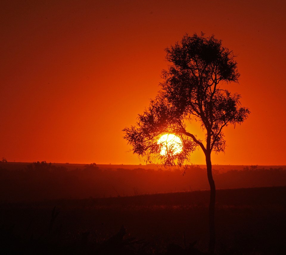 Обои небо, солнце, дерево, закат, силуэт, the sky, the sun, tree, sunset, silhouette разрешение 2048x1266 Загрузить