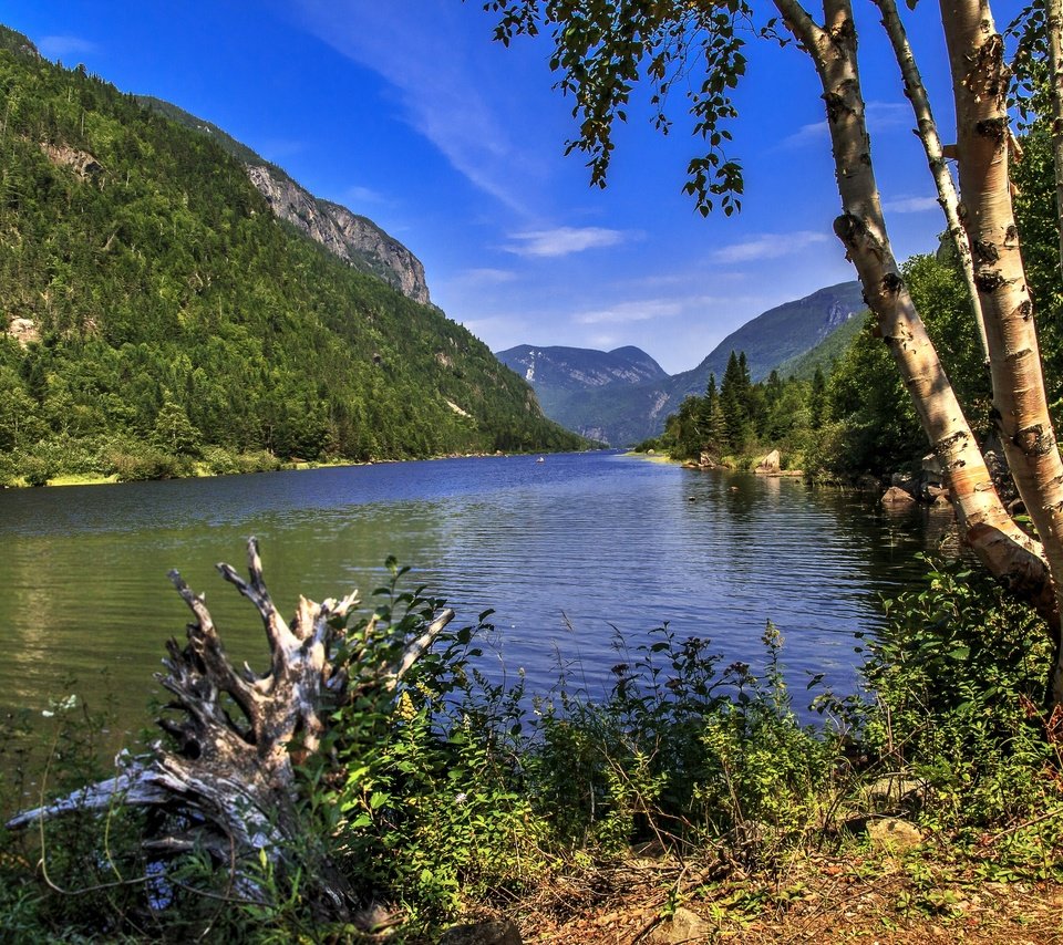 Обои трава, hautes-gorges-de-la-riviere-malbaie national, деревья, река, горы, камни, берег, лес, канада, grass, trees, river, mountains, stones, shore, forest, canada разрешение 2880x1933 Загрузить