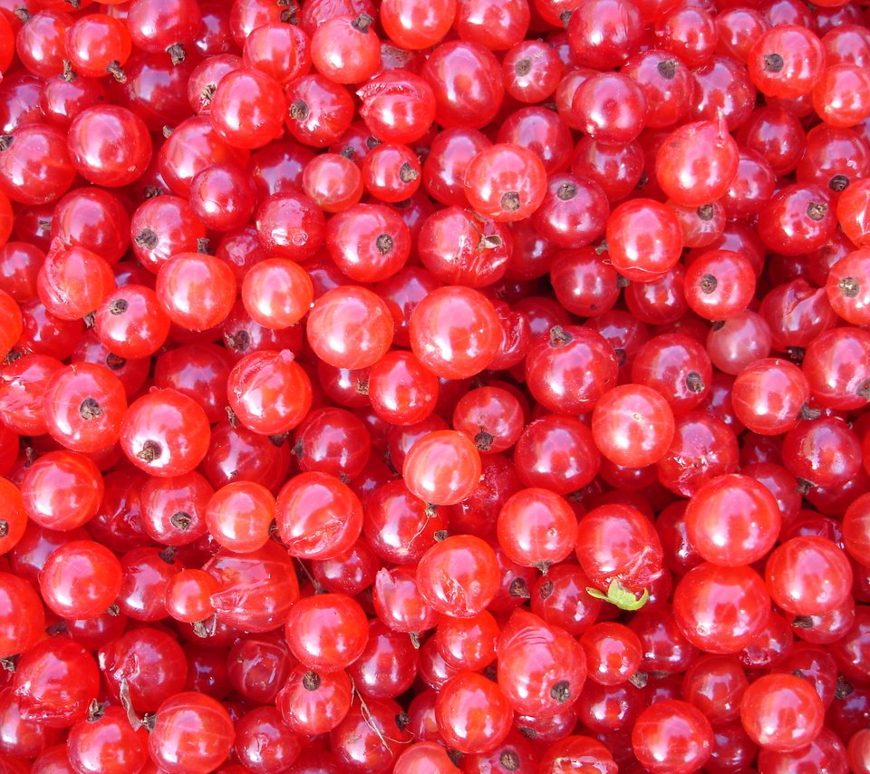 Обои еда, красная, ягоды, смородина, food, red, berries, currants разрешение 2592x1944 Загрузить
