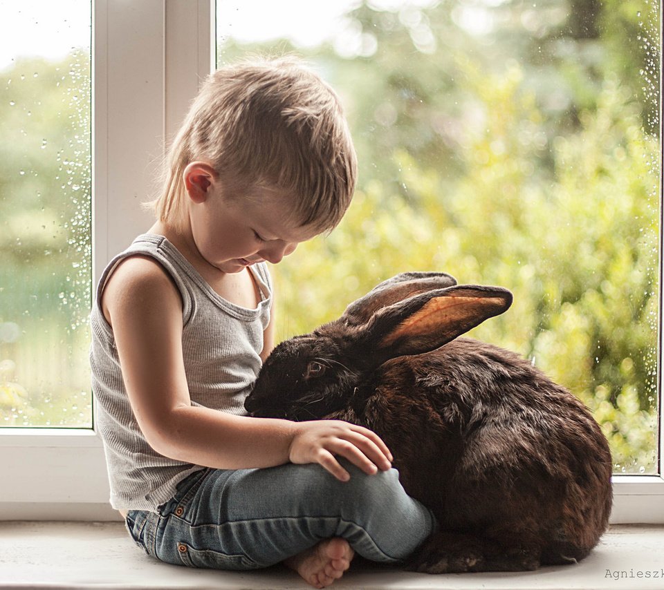 Обои ребенок, кролик, мальчик, друзья, child, rabbit, boy, friends разрешение 2048x1332 Загрузить