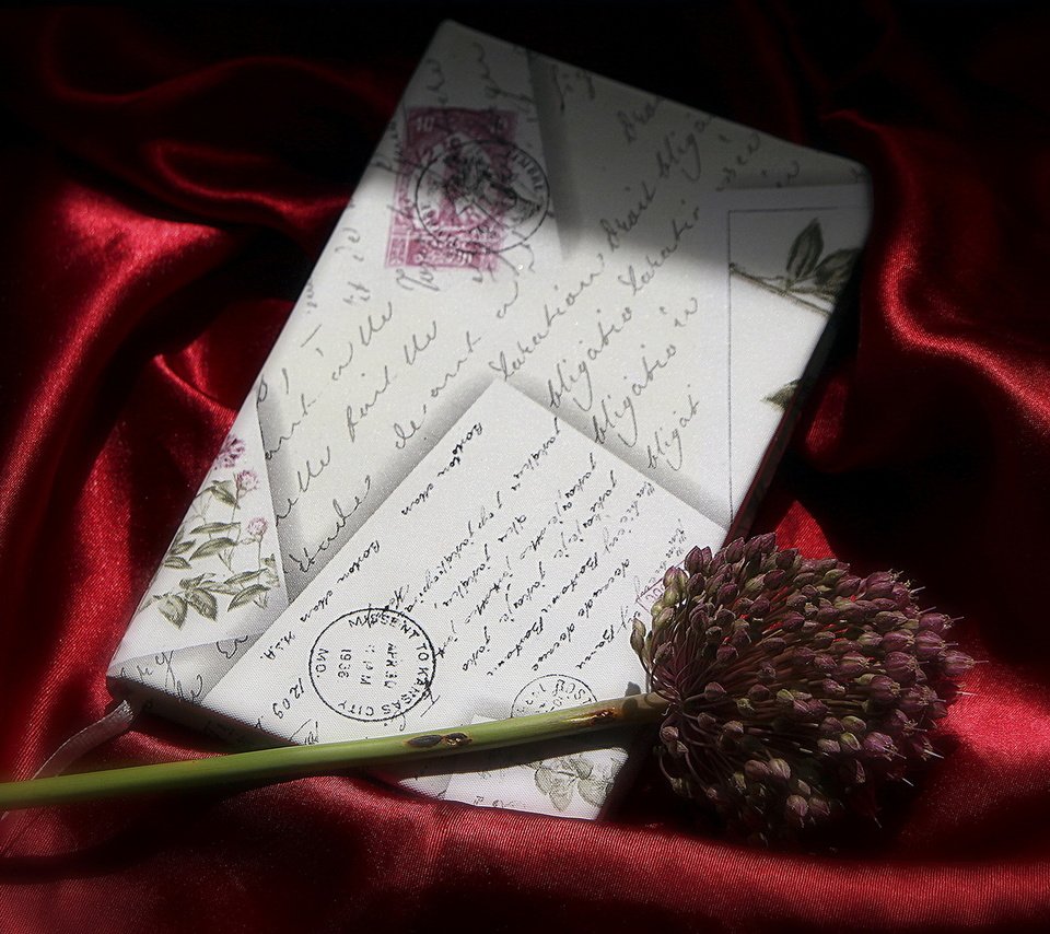 Обои фон, цветок, письмо, background, flower, letter разрешение 1920x1230 Загрузить