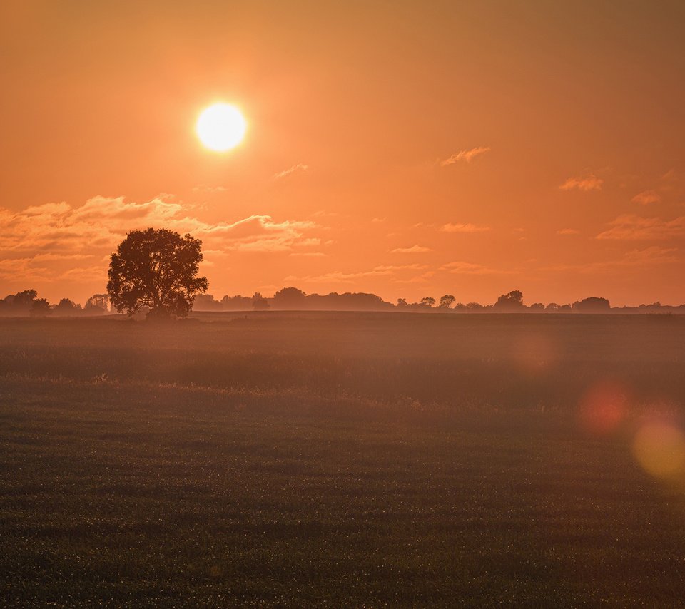 Обои небо, облака, солнце, утро, туман, поле, рассвет, the sky, clouds, the sun, morning, fog, field, dawn разрешение 1920x1080 Загрузить