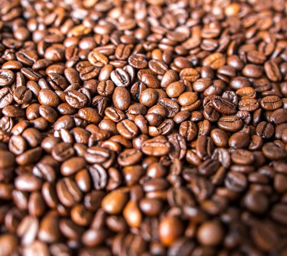 Обои зерна, кофе, много, кофейные зерна, grain, coffee, a lot, coffee beans разрешение 5472x3648 Загрузить