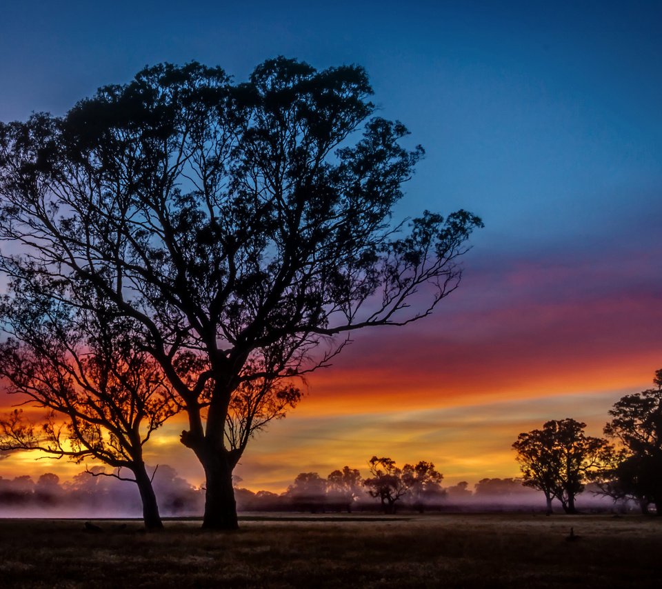 Обои облака, деревья, вечер, закат, пейзаж, clouds, trees, the evening, sunset, landscape разрешение 2048x1306 Загрузить