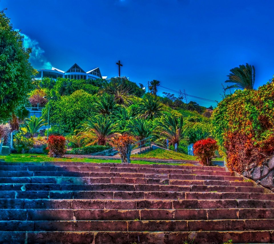 Обои лестница, парк, обработка, испания, las palmas de gran canaria, ladder, park, treatment, spain разрешение 1920x1280 Загрузить