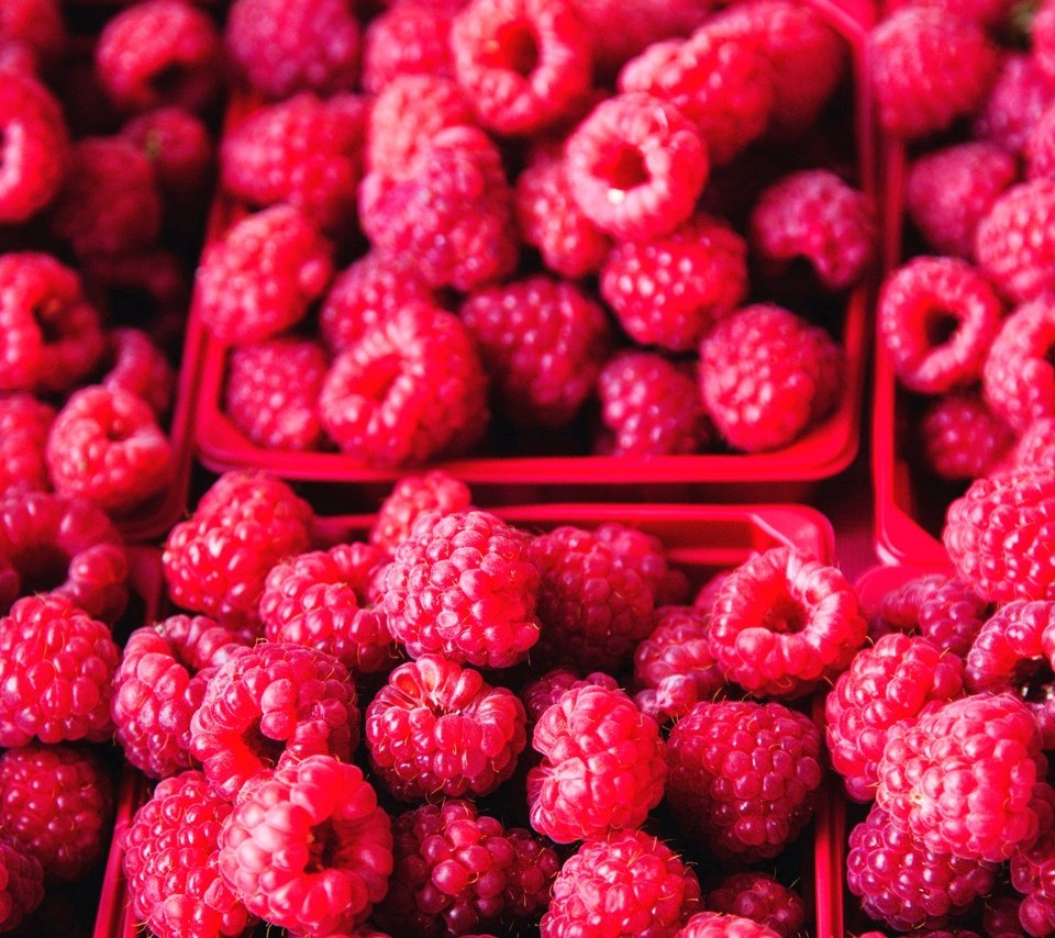 Обои малина, ягоды, много, raspberry, berries, a lot разрешение 2048x1365 Загрузить