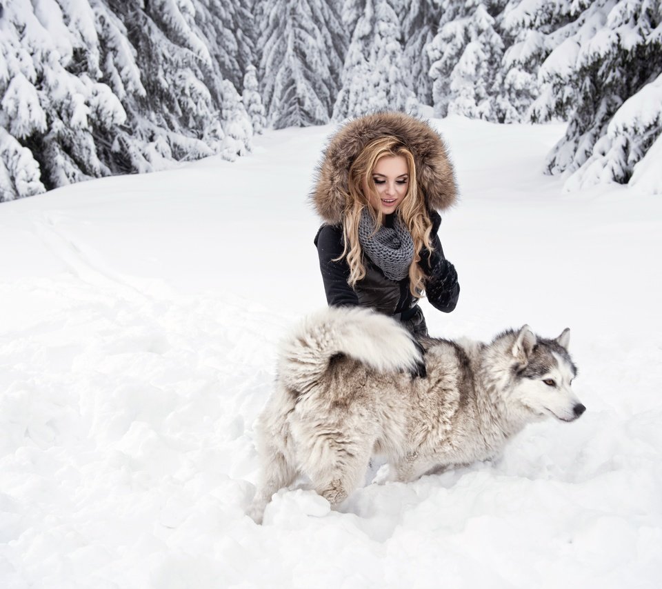 Обои снег, лес, девушка, блондинка, взгляд, собака, хаски, snow, forest, girl, blonde, look, dog, husky разрешение 7360x4912 Загрузить