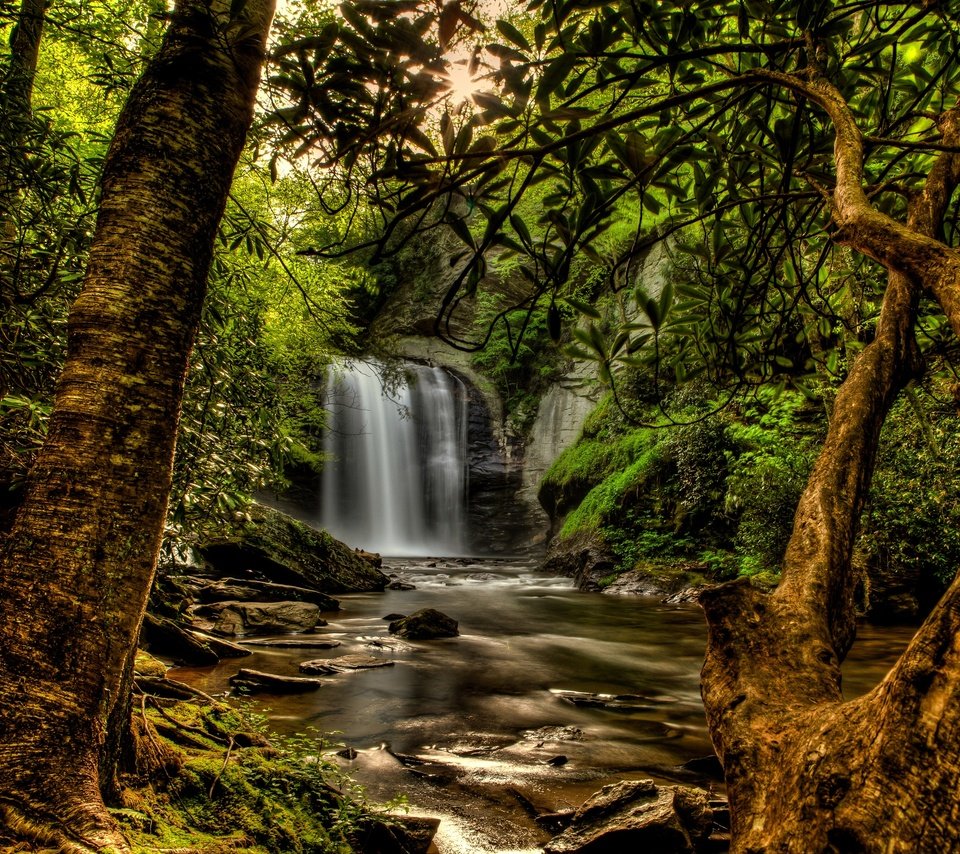 Обои деревья, сша, солнце, мох, камни, pisgah national forest, лес, ручей, ветки, водопад, обработка, trees, usa, the sun, moss, stones, forest, stream, branches, waterfall, treatment разрешение 2880x1920 Загрузить