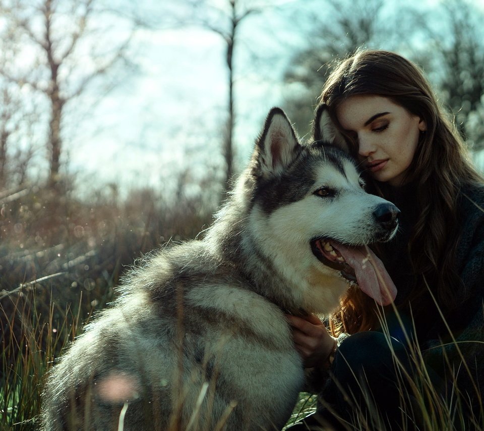 Обои девушка, фон, собака, girl, background, dog разрешение 2048x1366 Загрузить