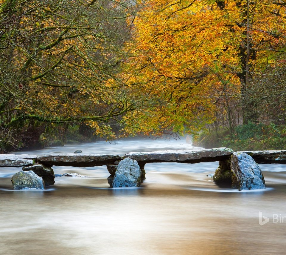 Обои река, природа, мостик, лес, осень, bing, river, nature, the bridge, forest, autumn разрешение 1920x1200 Загрузить