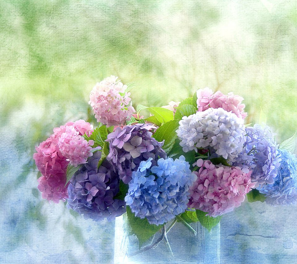 Обои цветы, букет, ваза, гортензии, flowers, bouquet, vase, hydrangeas разрешение 2560x1600 Загрузить