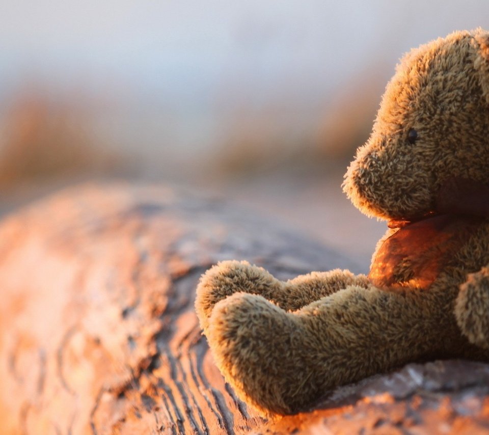 Обои медведь, мишка, игрушка, плюшевый, боке, bear, toy, plush, bokeh разрешение 1920x1080 Загрузить