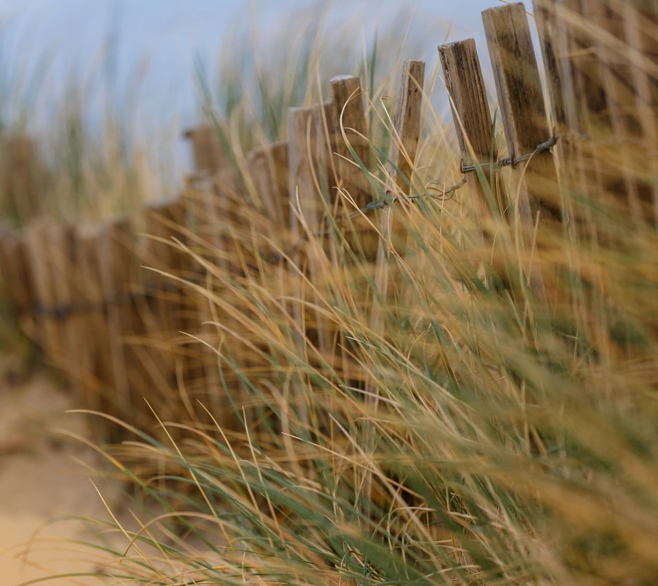 Обои трава, ветряная, песок, дюна, пляж, забор, ветер, дюны, песка, боке, изгородь, fence, grass, wind, sand, dune, beach, the fence, the wind, dunes, bokeh разрешение 2048x1365 Загрузить