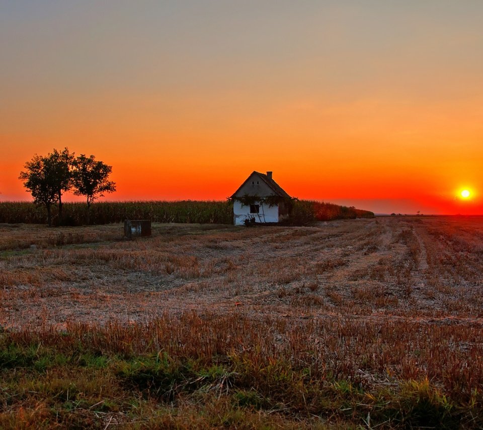 Обои солнце, dusk, fireball, закат, полумрак, countryside, поле, farmland, дом, сумерки, ферма, вс, сельская местность, the sun, sunset, field, house, twilight, farm, sun, the countryside разрешение 1920x1276 Загрузить