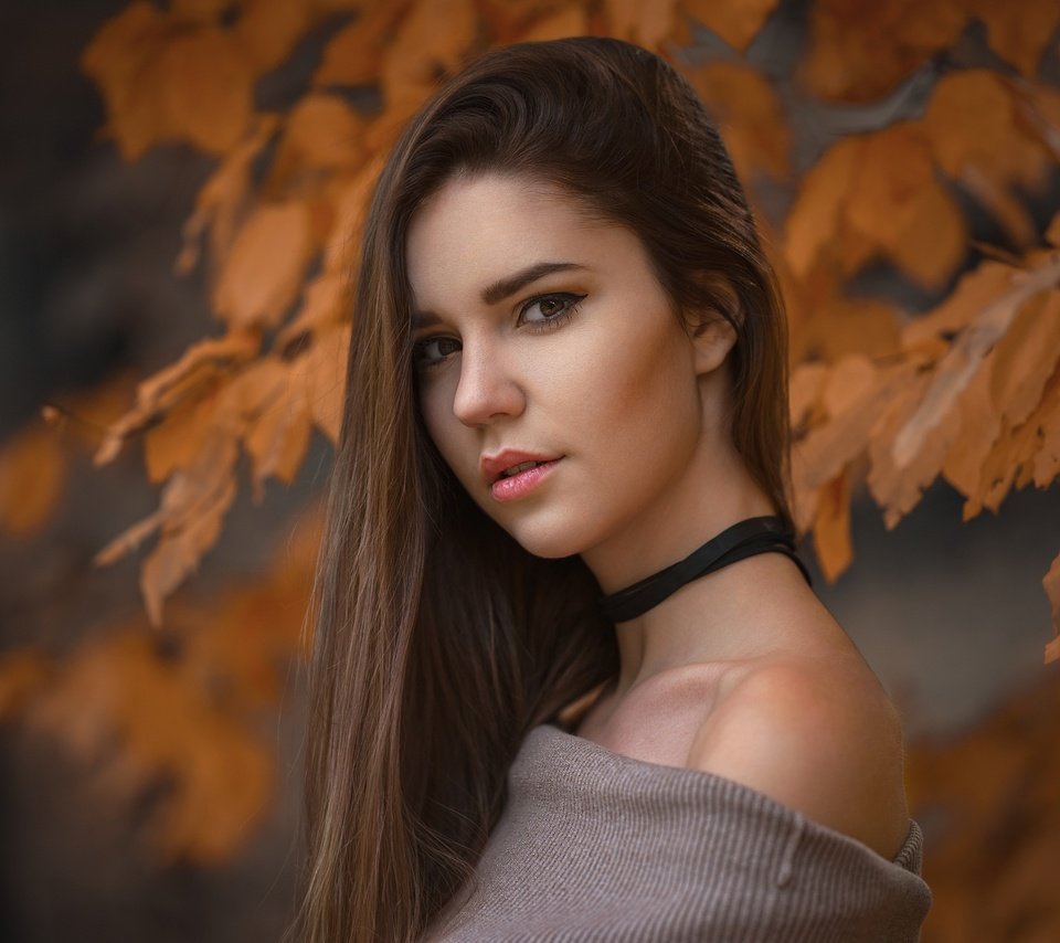 Обои глаза, девушка, портрет, листва, взгляд, осень, eyes, girl, portrait, foliage, look, autumn разрешение 2048x1365 Загрузить