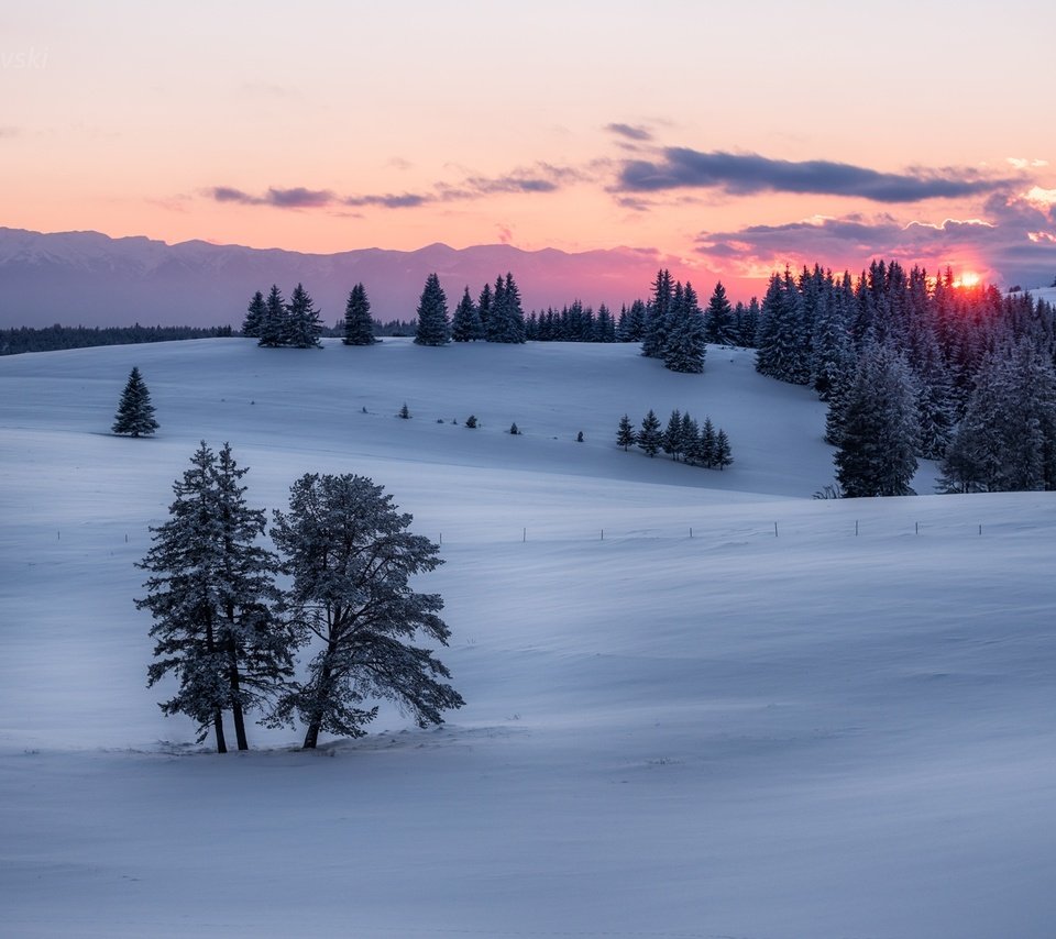 Обои солнце, закат, зима, winter sunset, the sun, sunset, winter разрешение 2048x1367 Загрузить