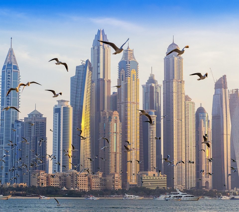 Обои дома, чайки, дубаи, дубай, оаэ, palm jumeirah, home, seagulls, dubai, uae разрешение 2500x1875 Загрузить