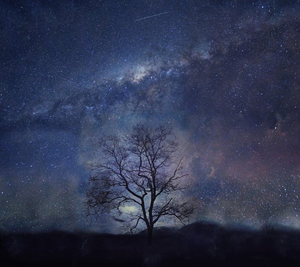 Обои ночь, дерево, звезды, night, tree, stars разрешение 2048x1774 Загрузить