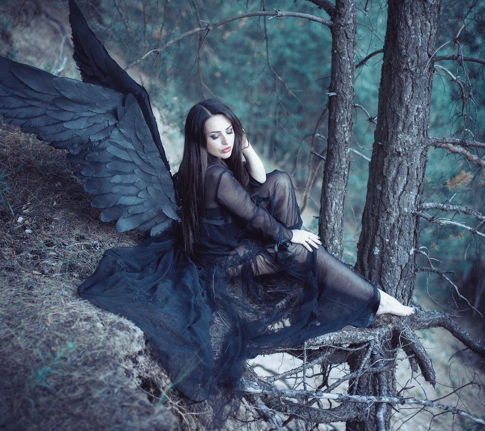 Обои лес, девушка, крылья, ангел, черные крылья, forest, girl, wings, angel, black wings разрешение 5616x3744 Загрузить