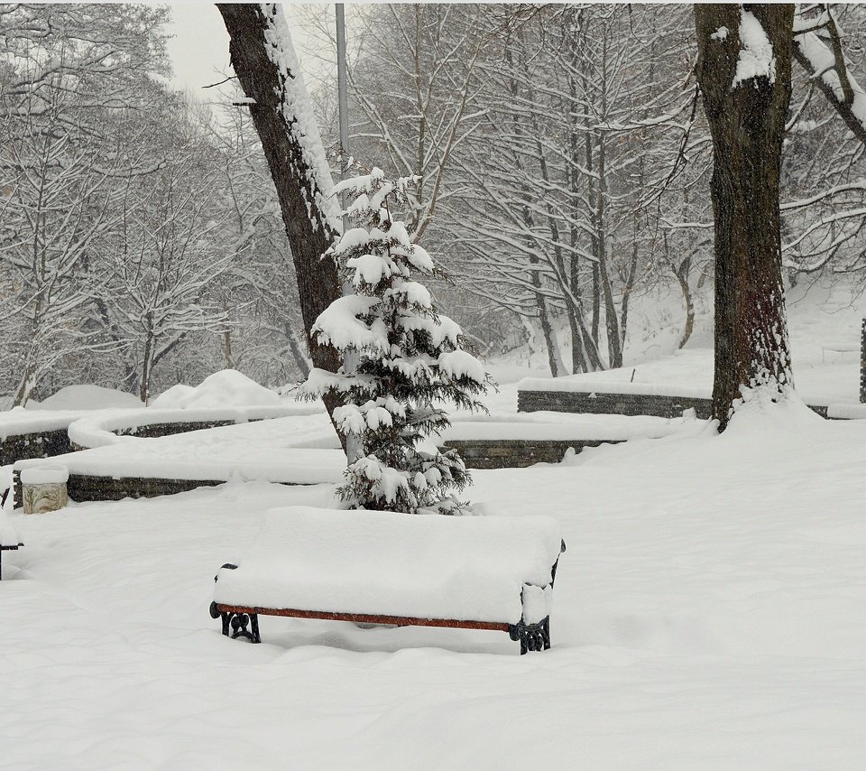 Обои деревья, снег, зима, парк, мороз, скамейки, сугробы, изморозь, trees, snow, winter, park, frost, benches, the snow разрешение 3016x1875 Загрузить