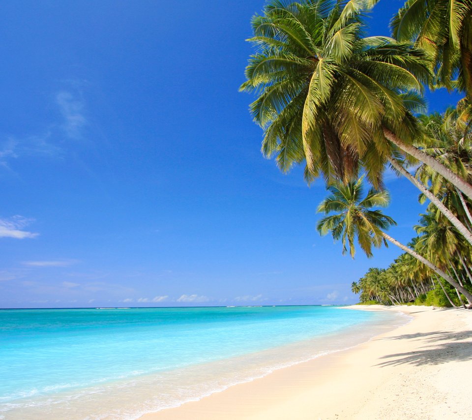 Обои море, песок, пляж, пальмы, отдых, тропики, sea, sand, beach, palm trees, stay, tropics разрешение 7512x4226 Загрузить