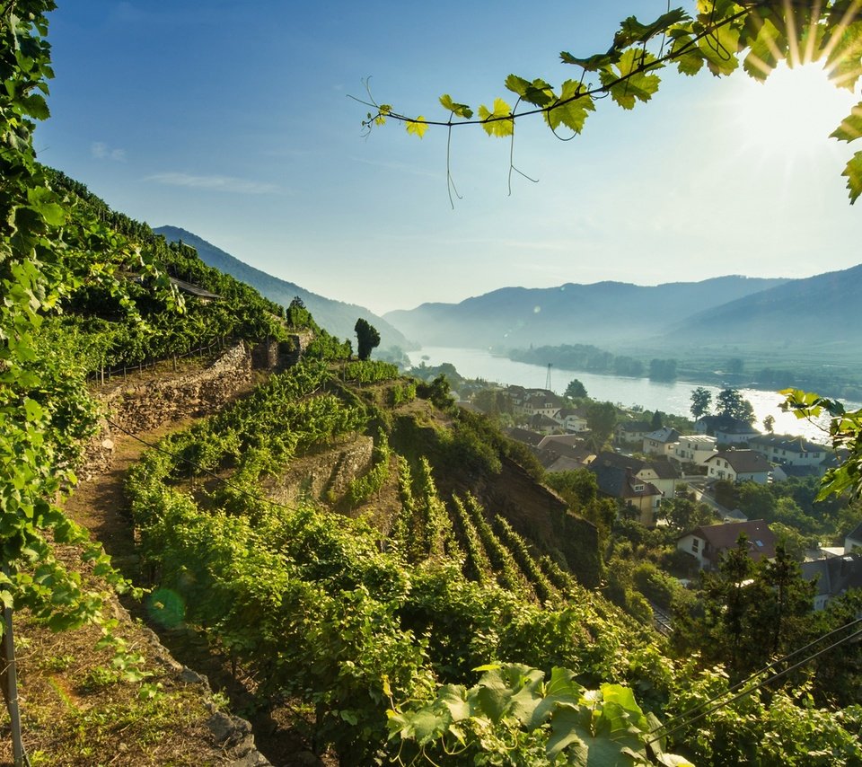 Обои река, австрия, долина, дунай, вахау, river, austria, valley, the danube, wachau разрешение 1920x1210 Загрузить