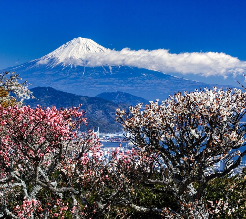 Обои деревья, горы, пейзаж, город, весна, trees, mountains, landscape, the city, spring разрешение 2048x1365 Загрузить