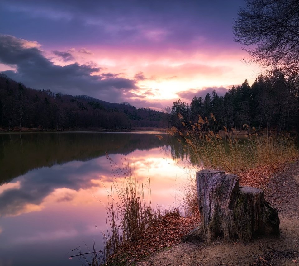 Обои деревья, озеро, закат, пень, trees, lake, sunset, stump разрешение 2000x1235 Загрузить