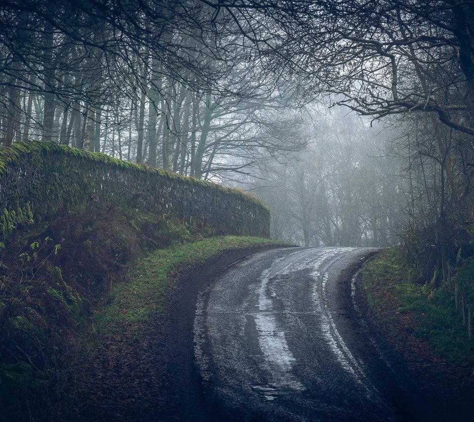 Обои дорога, деревья, лес, туман, road, trees, forest, fog разрешение 2107x1100 Загрузить