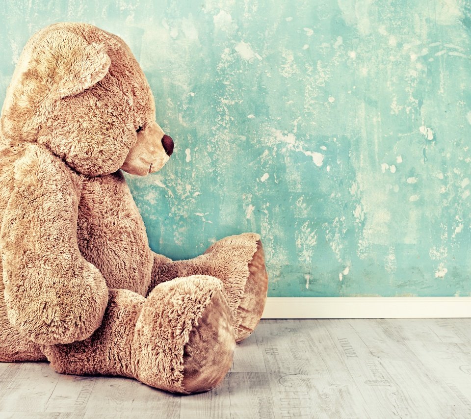 Обои стена, мишка, игрушка, сидит, wall, bear, toy, sitting разрешение 6361x4241 Загрузить