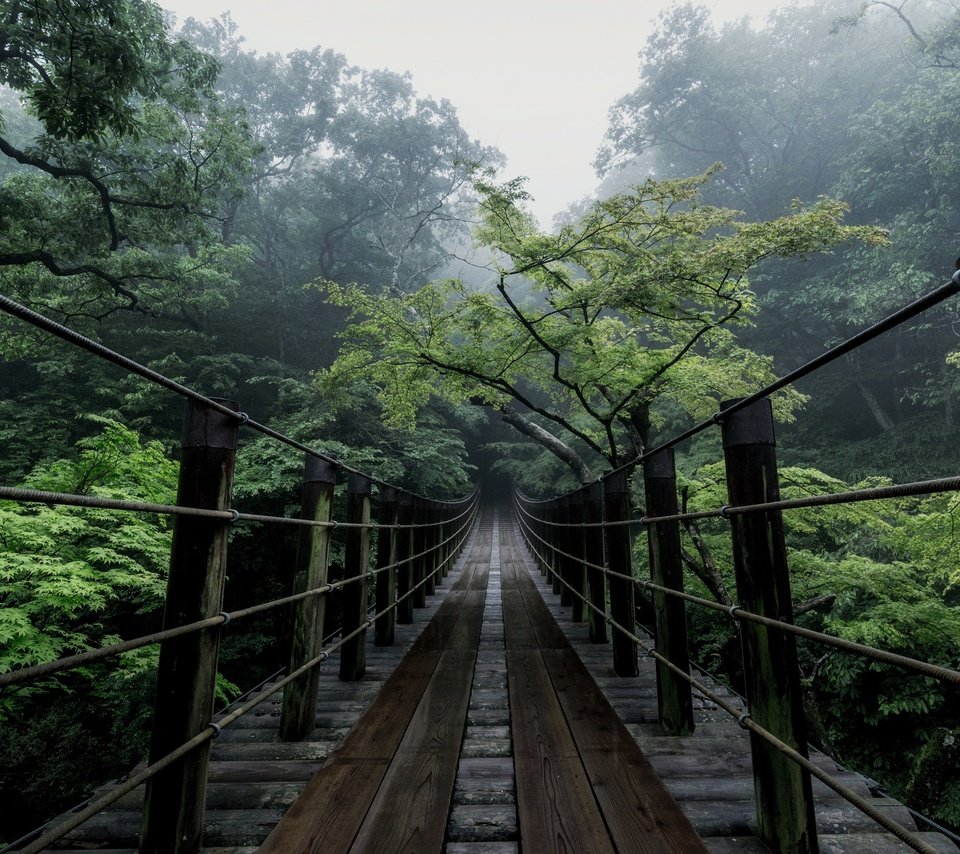 Обои деревья, природа, мост, япония, дымка, trees, nature, bridge, japan, haze разрешение 2500x1667 Загрузить