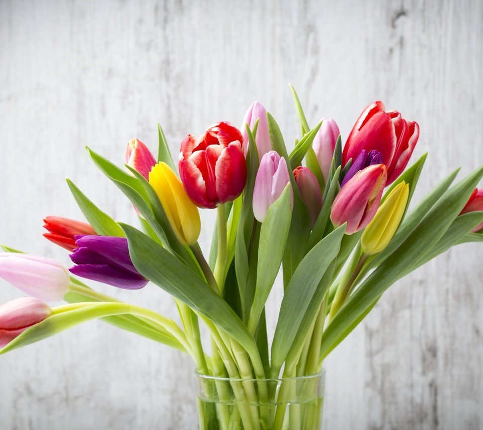 Обои цветы, букет, тюльпаны, дерева, тульпаны,  цветы, красочная, flowers, bouquet, tulips, wood, colorful разрешение 5472x3648 Загрузить
