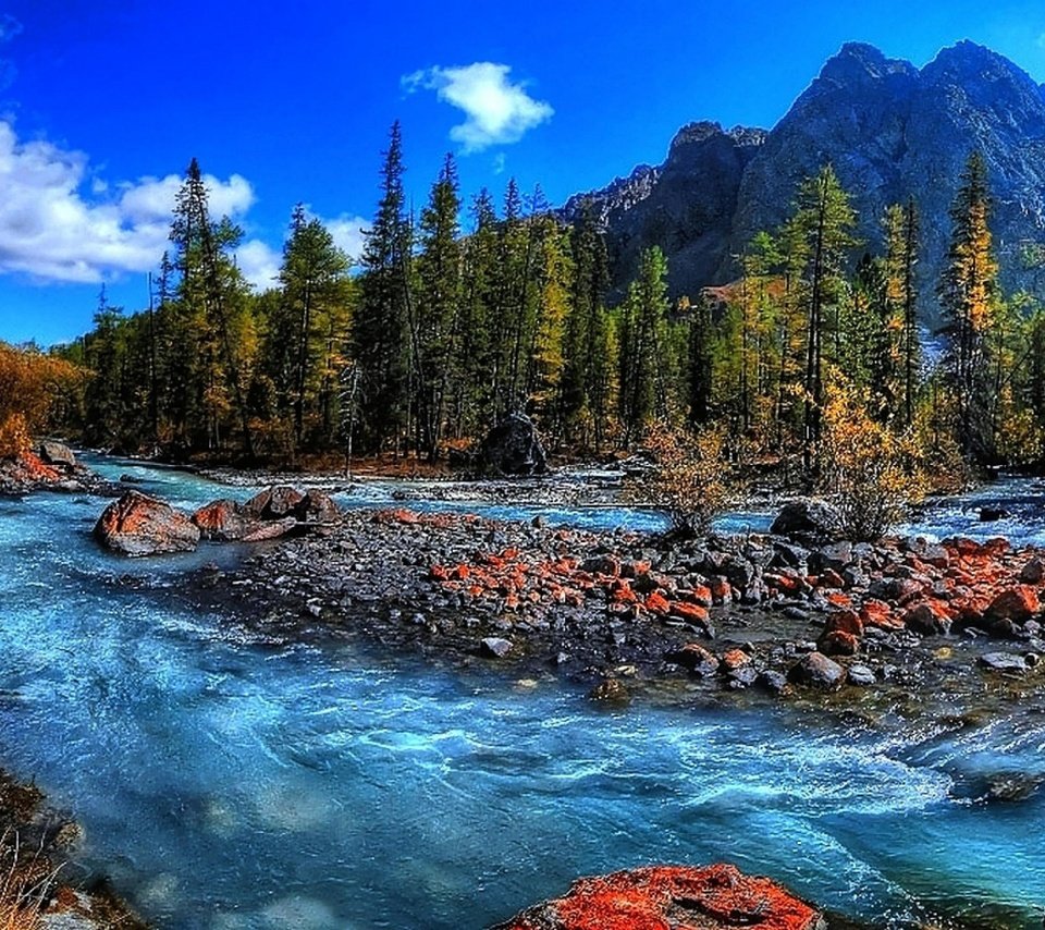 Обои деревья, stream mountain, fresh water, вода, rapids, река, горы, природа, камни, поток, бег, trees, water, river, mountains, nature, stones, stream, running разрешение 1920x1200 Загрузить