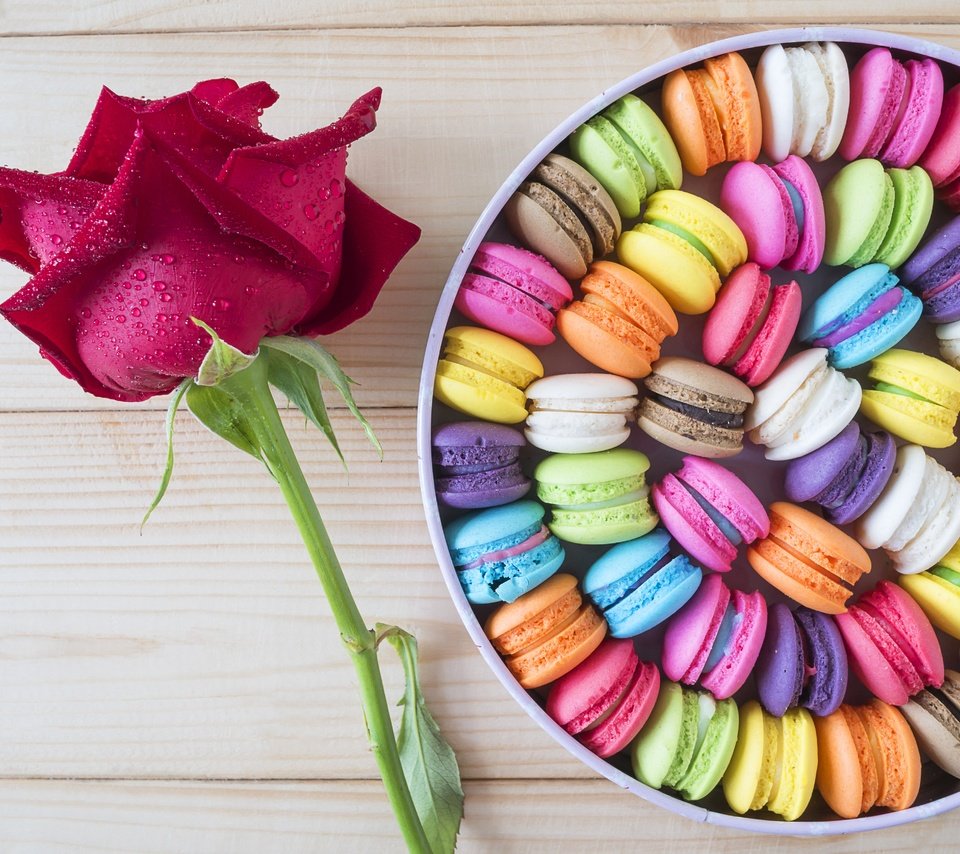 Обои цветок, роза, окрас, коробка, печенье, макарун, flower, rose, color, box, cookies, macaron разрешение 4592x3448 Загрузить