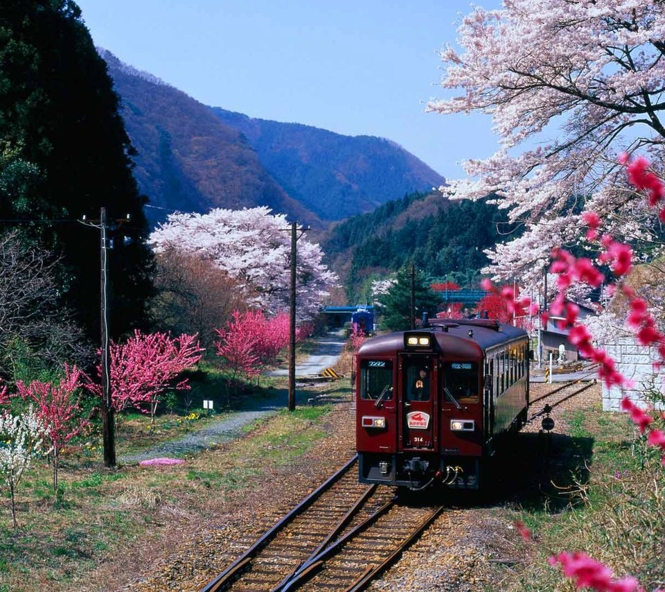 Обои горы, цветение, япония, весна, поезд, префектура гумма, mountains, flowering, japan, spring, train, gunma prefecture разрешение 1920x1080 Загрузить