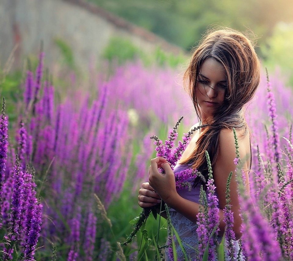 Обои цветы, девушка, лаванда, взгляд, волосы, flowers, girl, lavender, look, hair разрешение 1920x1080 Загрузить