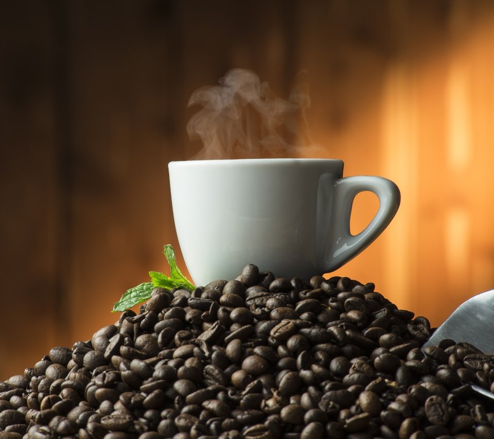 Обои мята, зерна, кофе, чашка, кофейные зерна, mint, grain, coffee, cup, coffee beans разрешение 6672x4912 Загрузить