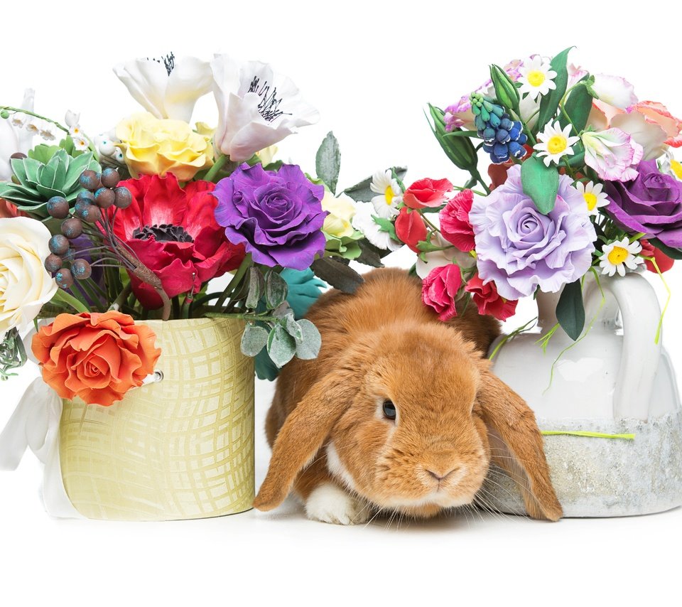 Обои цветы, корзина, кролик, пасха, flowers, basket, rabbit, easter разрешение 5518x3679 Загрузить