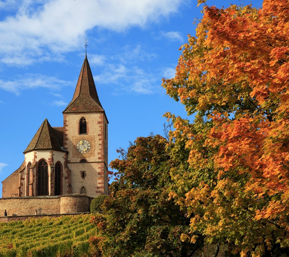 Обои деревья, осень, церковь, франция, hunawihr, church saint-jacques-le-majeur, церковь сен-жак-ле-мажёр, юнавир, trees, autumn, church, france, church of saint-jacques-le-mazher, the hunawihr разрешение 2500x1581 Загрузить