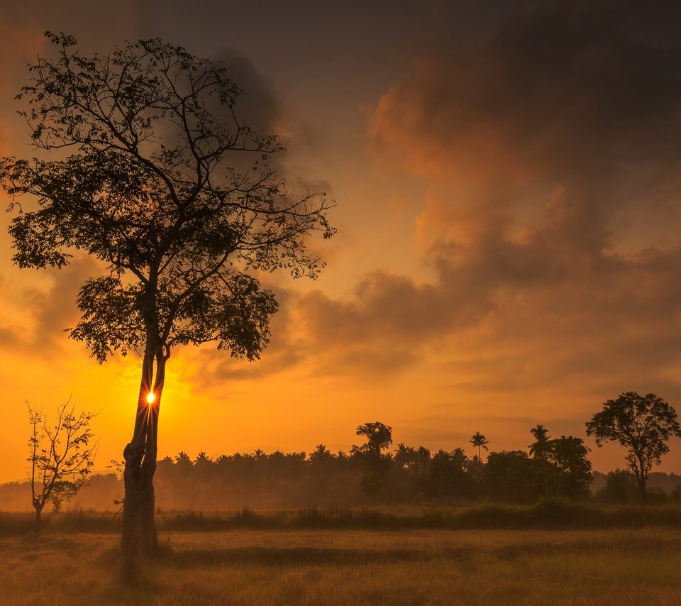 Обои небо, облака, деревья, закат, зарево, the sky, clouds, trees, sunset, glow разрешение 2048x1242 Загрузить