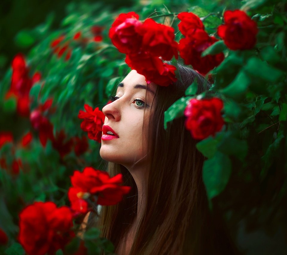 Обои цветы, лицо, природа, девушка, розы, модель, профиль, волосы, губы, flowers, face, nature, girl, roses, model, profile, hair, lips разрешение 2048x1365 Загрузить