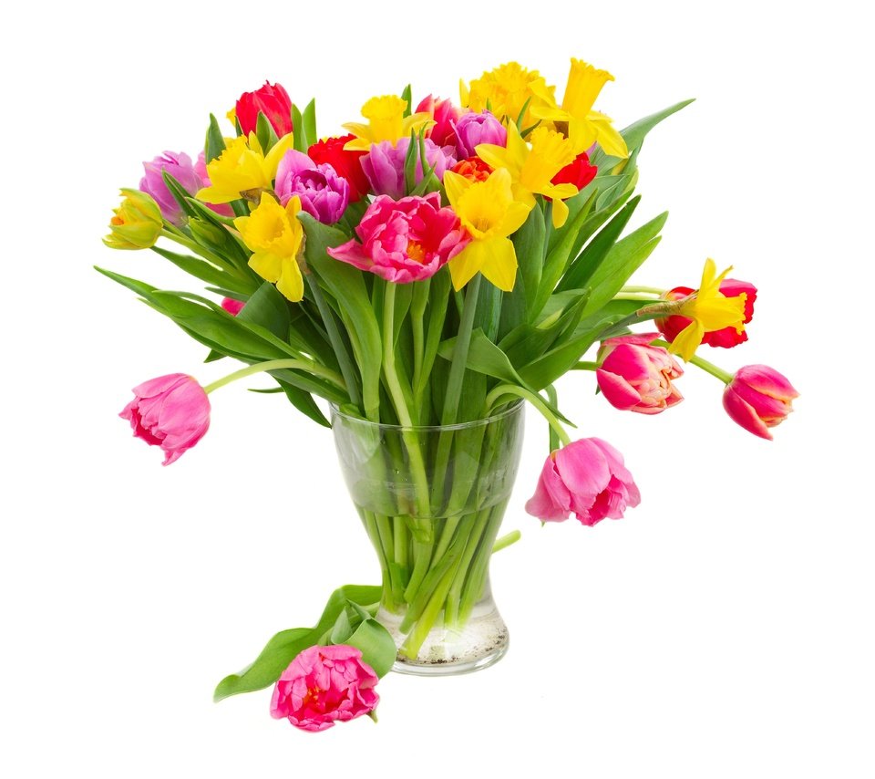 Обои цветы, нарциссы, вода, желтые, разноцветные, фиолетовые, красные, тюльпаны, розовые, белый фон, ваза, flowers, daffodils, water, yellow, purple, colorful, red, tulips, pink, white background, vase разрешение 6400x4000 Загрузить