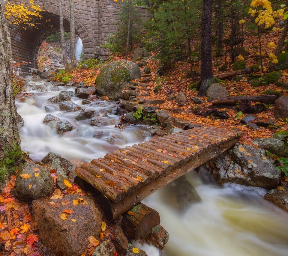 Обои деревья, река, листья, мост, осень, арка, trees, river, leaves, bridge, autumn, arch разрешение 2048x1574 Загрузить