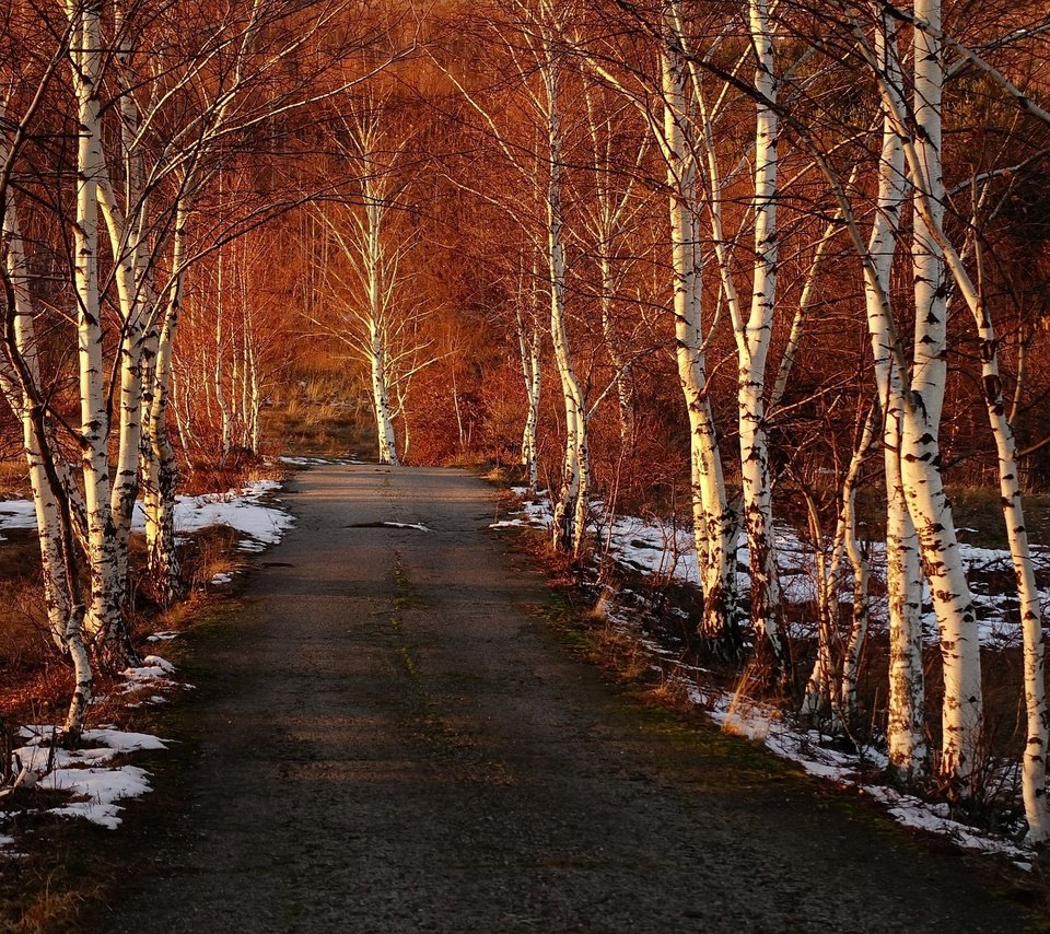 Обои дорога, деревья, снег, березы, весна, road, trees, snow, birch, spring разрешение 1920x1280 Загрузить