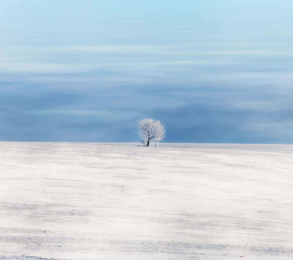 Обои небо, снег, дерево, зима, поле, the sky, snow, tree, winter, field разрешение 2048x1152 Загрузить